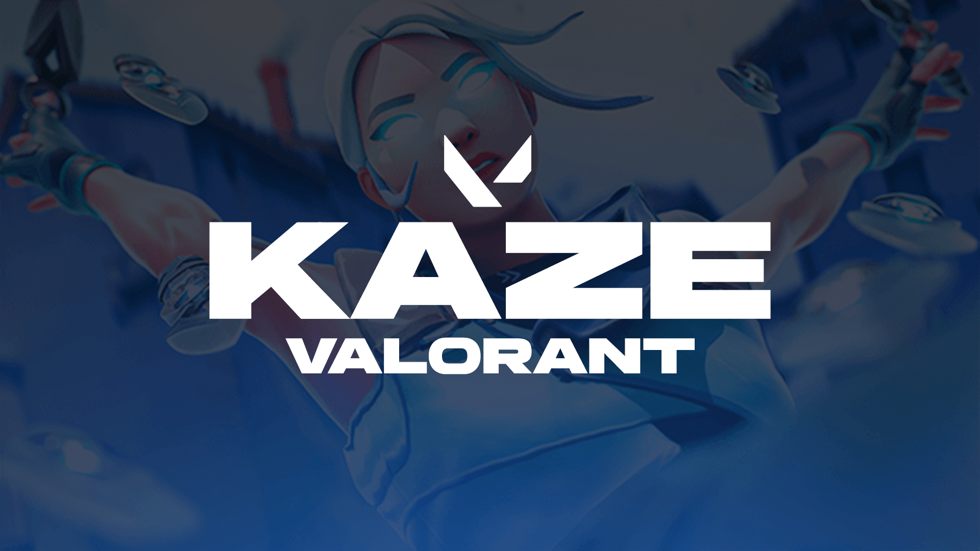 Valorant Banner